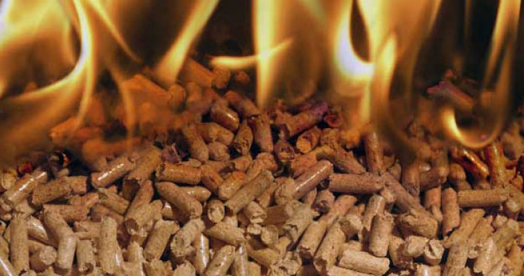pellets ECOFOREST